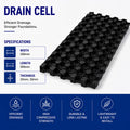 Drain Cell