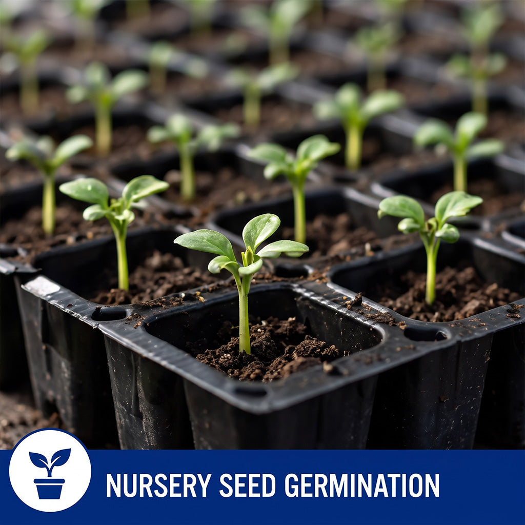 Seedling tray